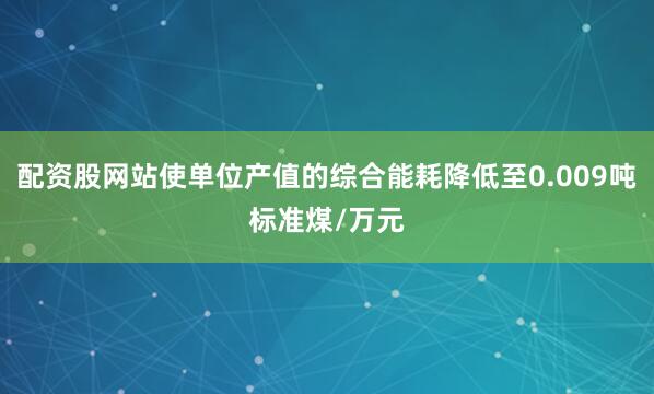 配资股网站使单位产值的综合能耗降低至0.009吨标准煤/万元