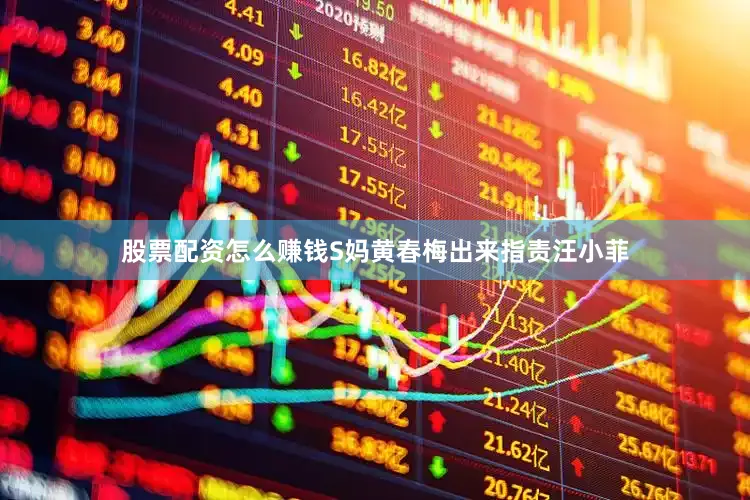 股票配资怎么赚钱S妈黄春梅出来指责汪小菲