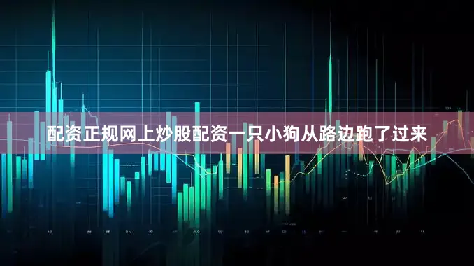 配资正规网上炒股配资一只小狗从路边跑了过来