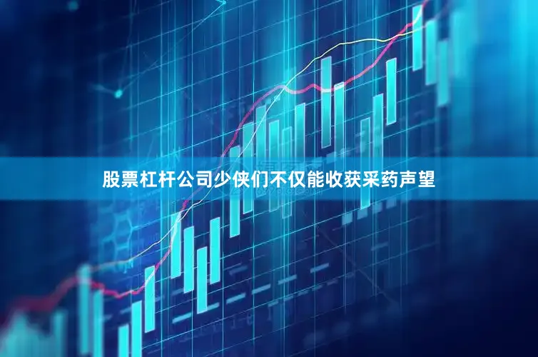 股票杠杆公司少侠们不仅能收获采药声望