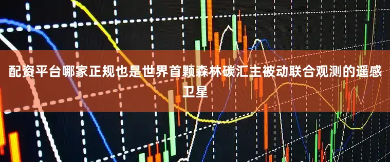 配资平台哪家正规也是世界首颗森林碳汇主被动联合观测的遥感卫星