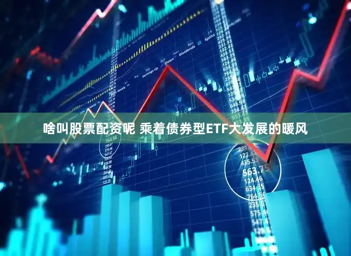 啥叫股票配资呢 乘着债券型ETF大发展的暖风